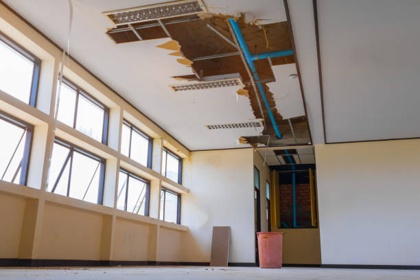 Best 24-hour water damage restoration  in Porter Heights, TX