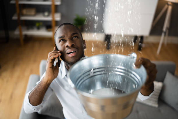 Best Water damage restoration experts  in Porter Heights, TX