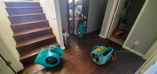 Best Sewage cleanup and water damage restoration  in Porter Heights, TX