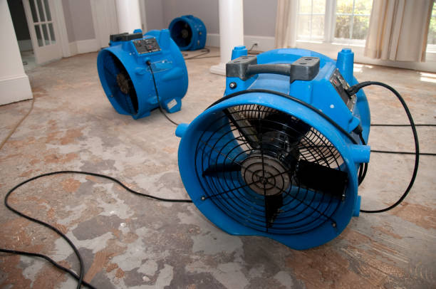 Best Ceiling water damage repair  in Porter Heights, TX
