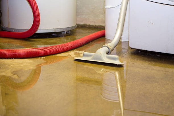 Reliable Porter Heights, TX Water damage restoration Solutions