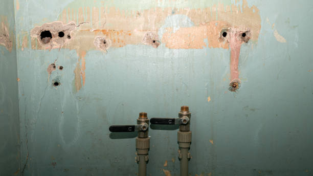 Best Commercial water damage restoration  in Porter Heights, TX