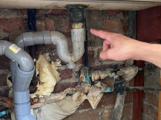 Best 24/7 water damage repair  in Porter Heights, TX